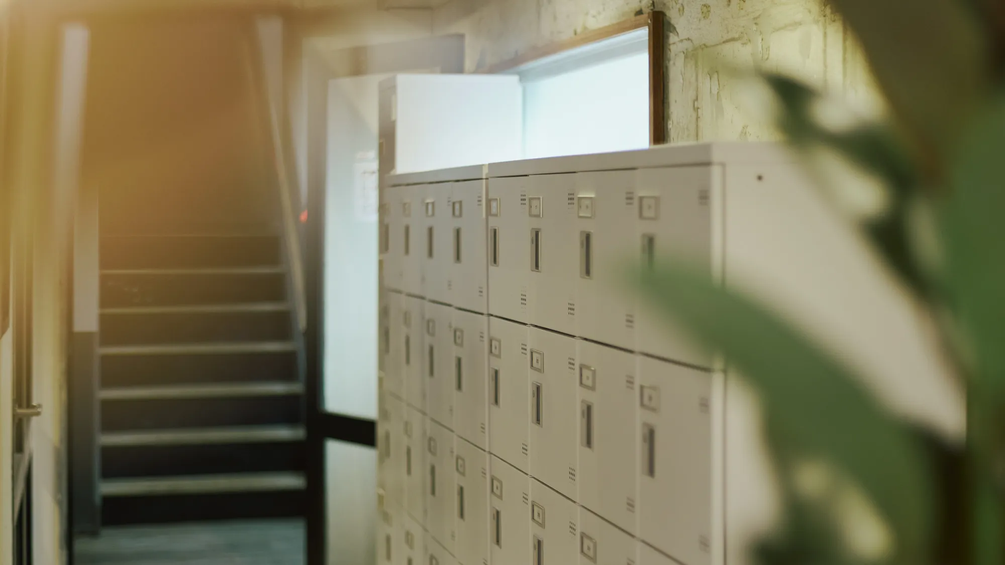 ゲストハウス風景